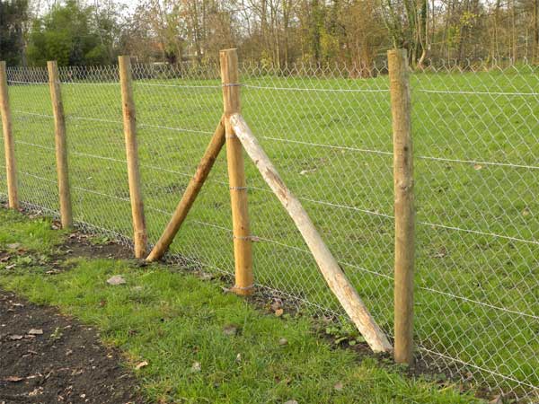 Clôtures agricoles
