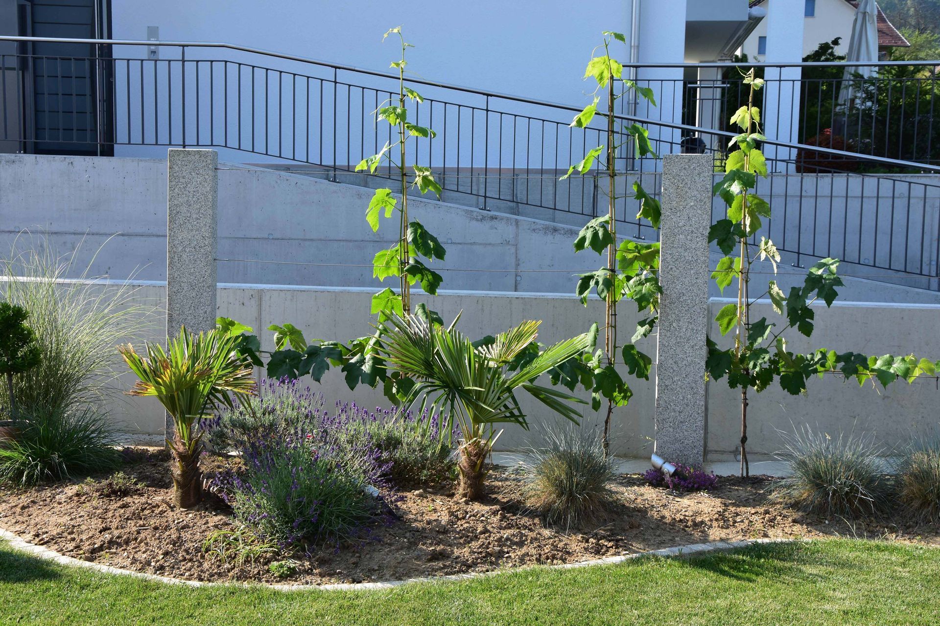 Schnitt Büsche | Keller Garten- & Tiefbau | Gartenbau, Poolbau, Teichbau, Schwimmteichbau & Gartenpflege | Endingen, Aargau