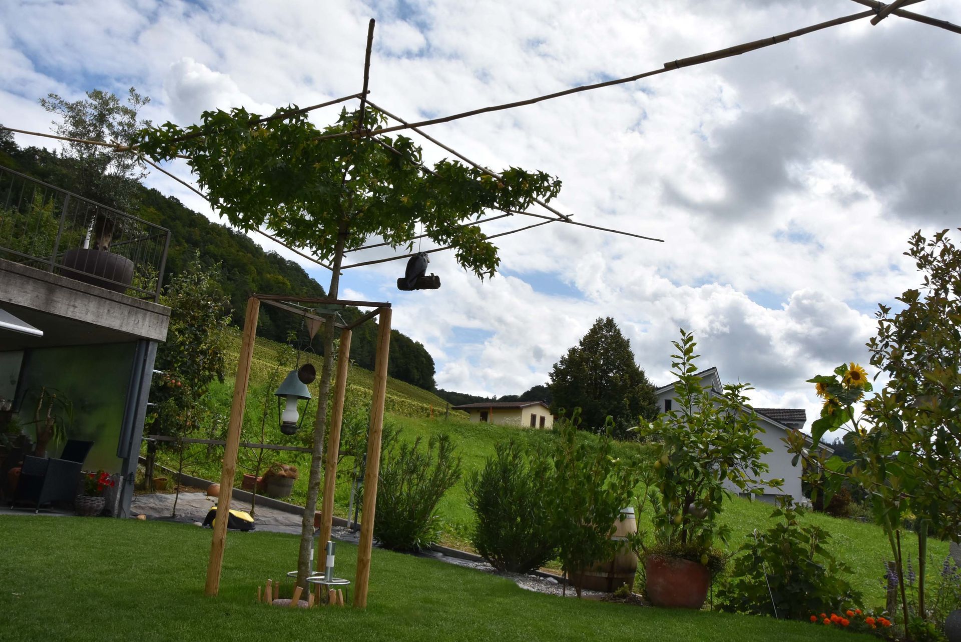 Schnitt Büsche | Keller Garten- & Tiefbau | Gartenbau, Poolbau, Teichbau, Schwimmteichbau & Gartenpflege | Endingen, Aargau