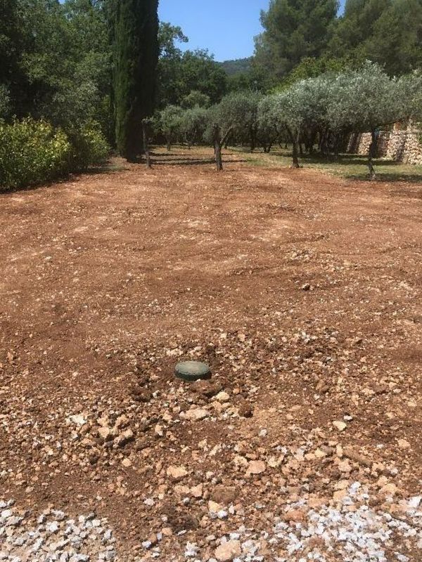 Un verger au sol terrassé et aplani
