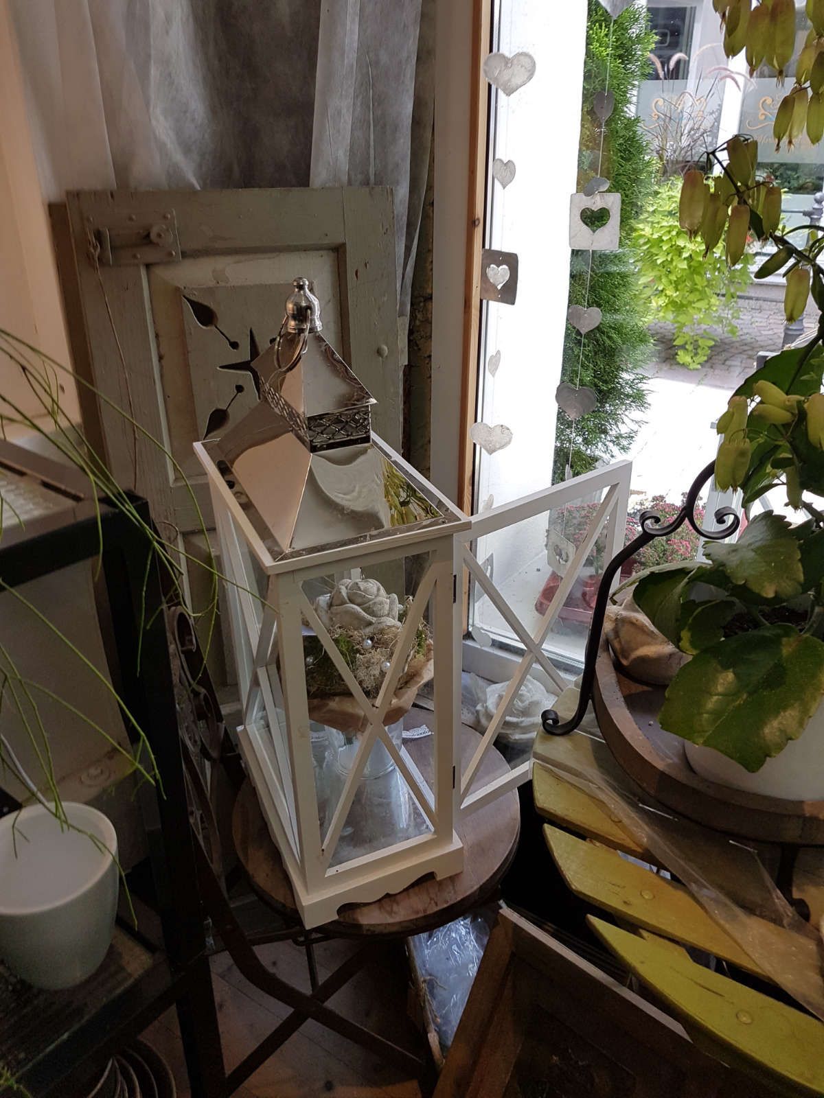 sommerblumen laterne gewachshaus