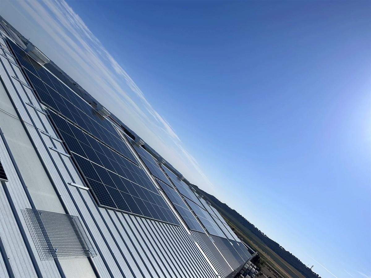 Paneles solares en un tejado bajo un cielo azul despejado