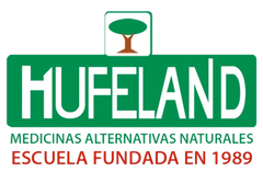 Escuela Hufeland