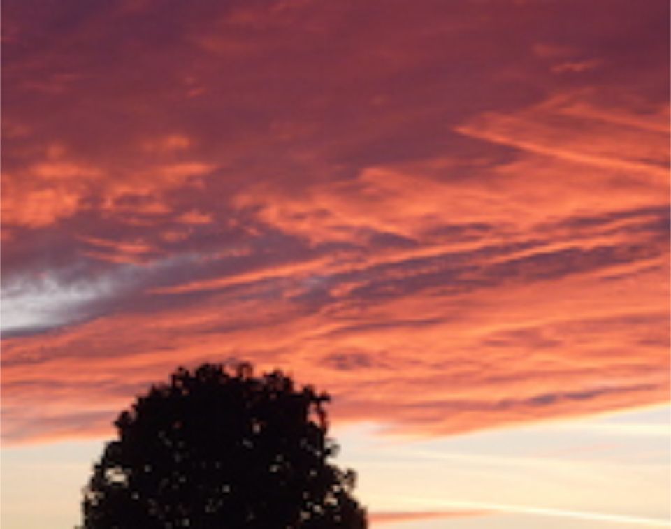 Sonnenunterganng Baumkrone degen hettenbach & partner