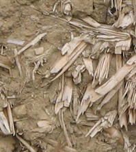 degen hettenbach & partner Lehmbau 