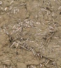 degen hettenbach & partner Lehmbau 