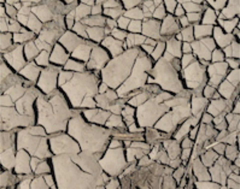 Getrocknete Lehmoberfläche degen hettenbach & partner