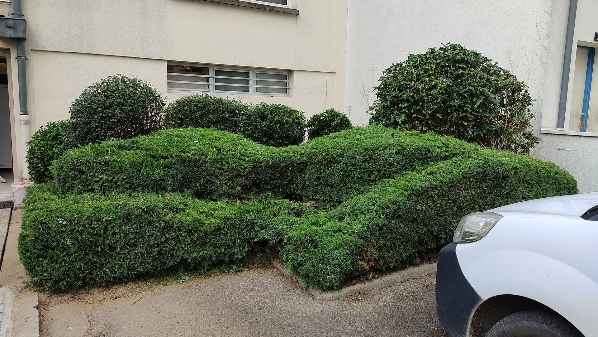 Une cour intérieure avec une brouette.