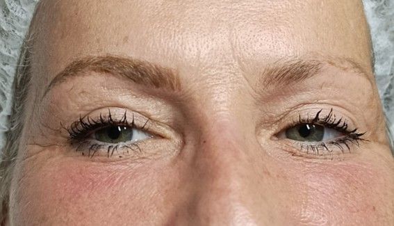 Primer plano de ojos con cejas pobladas de color marrón oscuro, pestañas largas y ojos marrones.