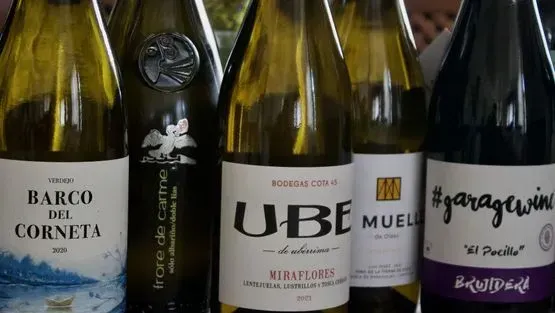 Un grupo de botellas de vino están alineadas en una fila.