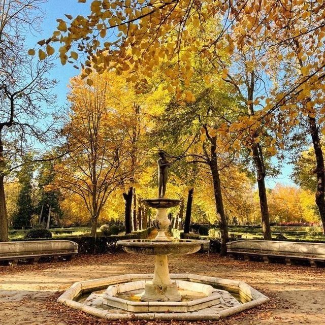 Una fuente en un parque rodeado de árboles con hojas amarillas.
