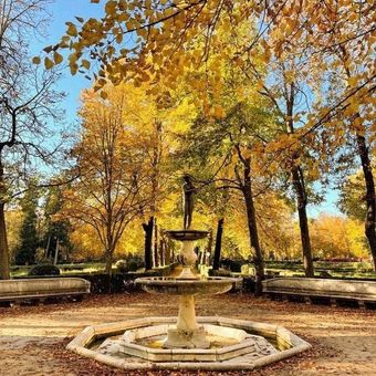 Una fuente en un parque rodeado de árboles con hojas amarillas.