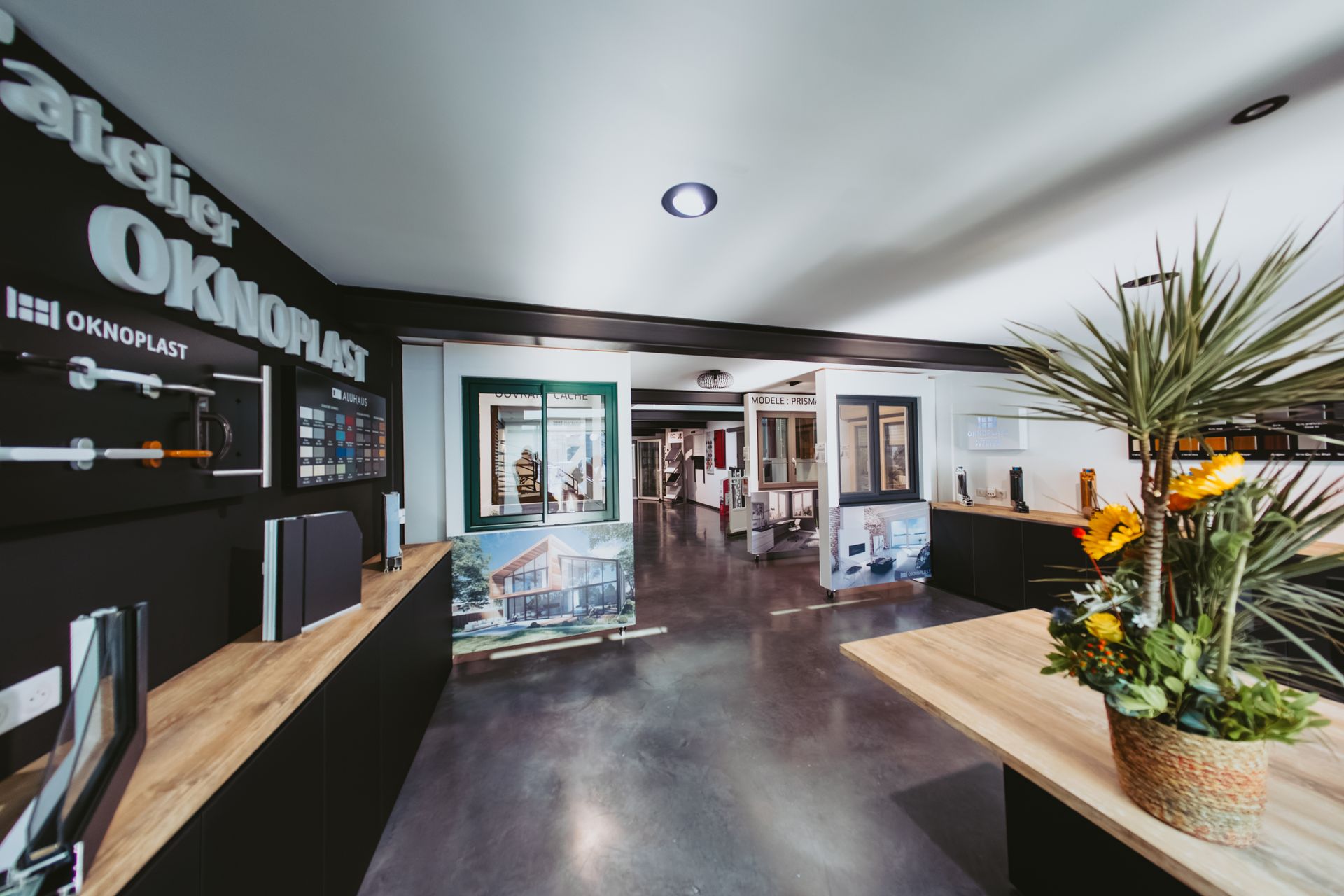 L'intérieur moderne de la salle d'exposition présente des échantillons de vitrines, la signalétique d'Atelier Oknoplast et une grande plante sur un comptoir en bois.