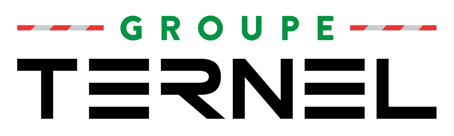 Logo Groupe Ternel