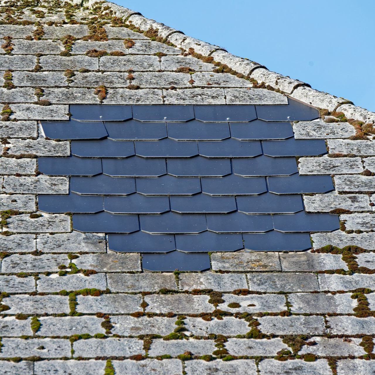 Des tuiles bleu foncé au milieu d'un toit d'ardoises grises patiné, taché de mousse.