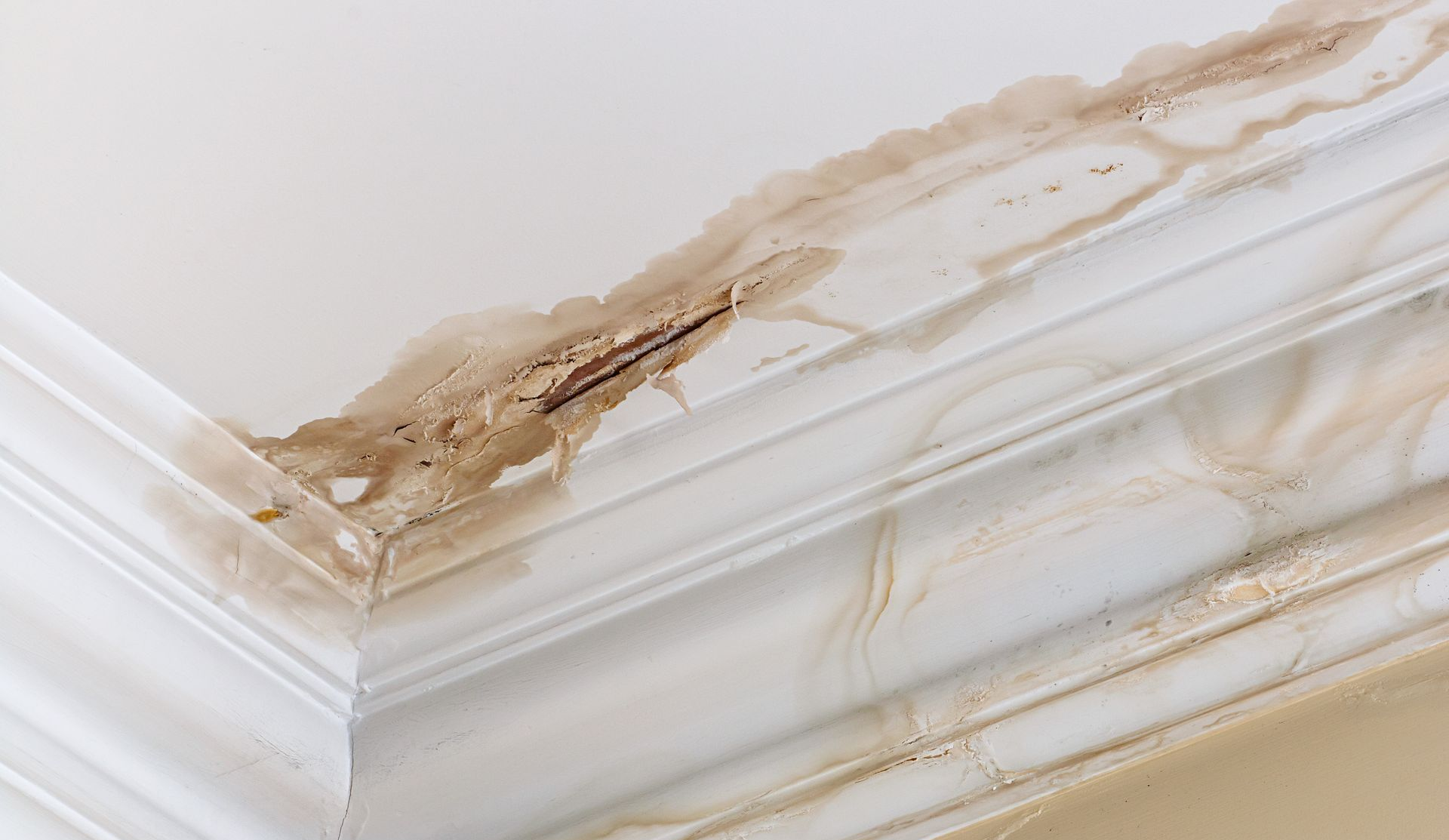 Taches d'eau et peinture écaillée sur un coin de plafond blanc près d'une moulure de corniche