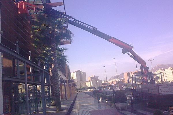 Una grúa está trabajando en un edificio en una ciudad.