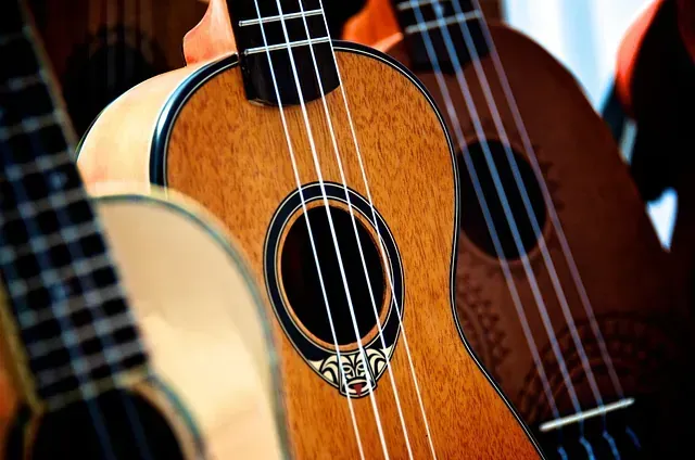 Un grupo de ukeleles están alineados en fila