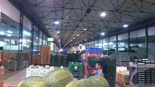 Un hombre está de pie en un almacén rodeado de sandías.