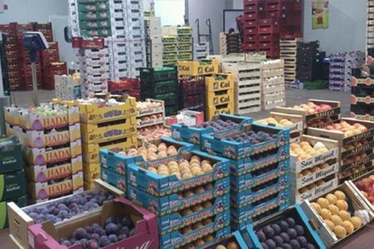 Un almacén lleno de muchas cajas de frutas y verduras.