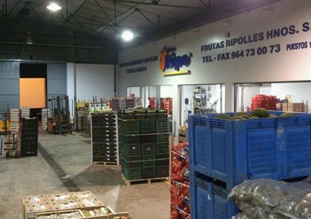 Un almacén lleno de muchas frutas y verduras.