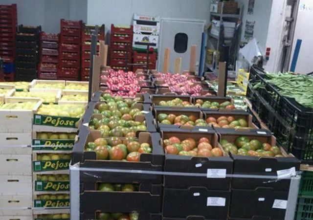 Un almacén lleno de muchas frutas y verduras, incluidos tomates.