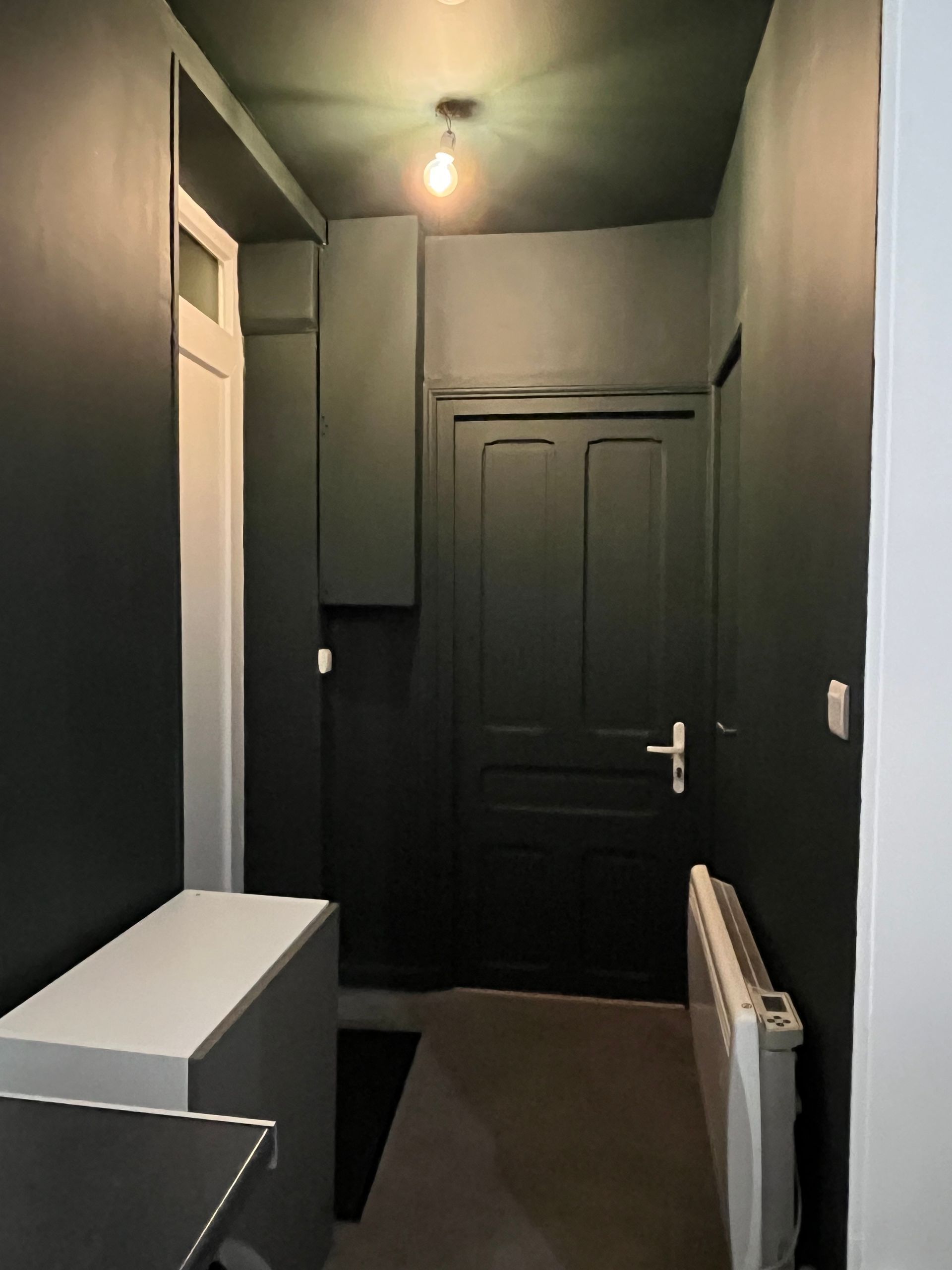Couloir vert foncé avec une porte, des placards et un radiateur. Une ampoule est suspendue au plafond.