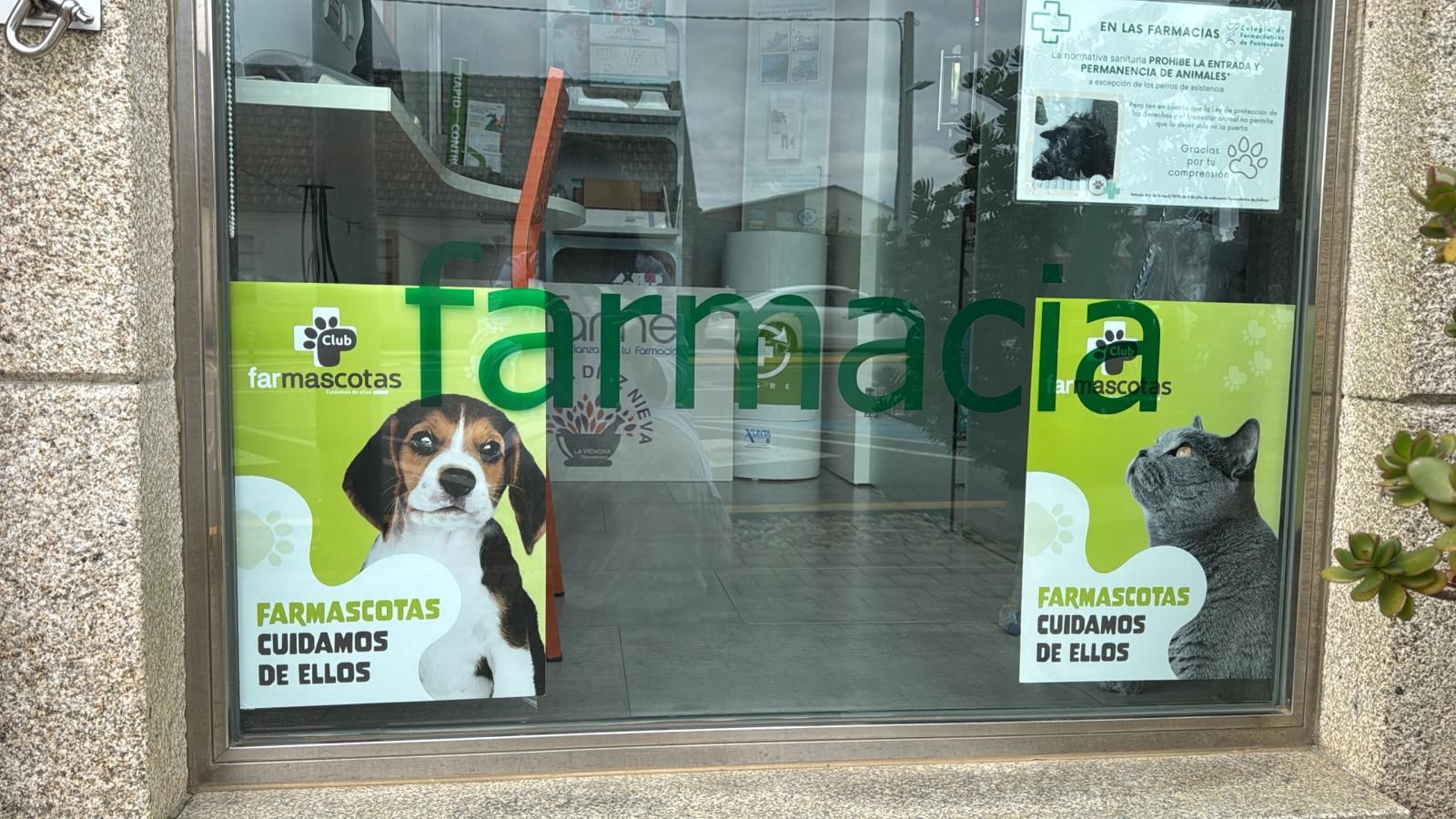 Una ventana de farmacia con un perro y un gato.