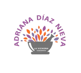 Un logo para adriana diaz nieva la vichona