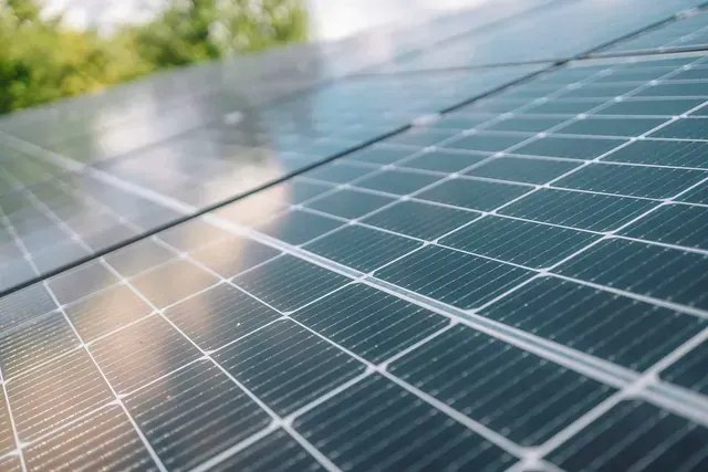 Primer plano de paneles solares, que reflejan el cielo y la vegetación. Los paneles tienen una estructura reticular y están ligeramente inclinados.