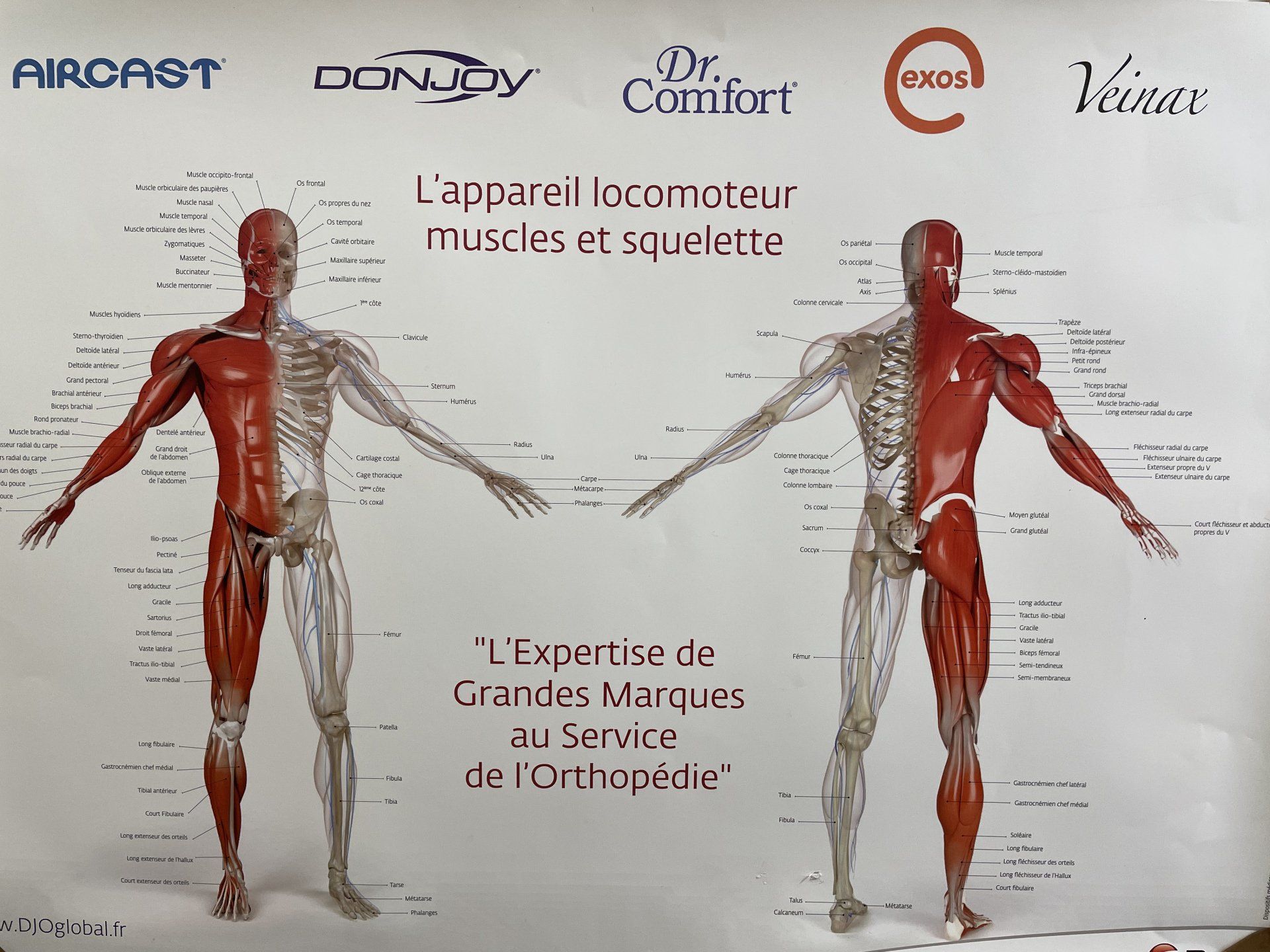 Expertise pour l'orthopédie