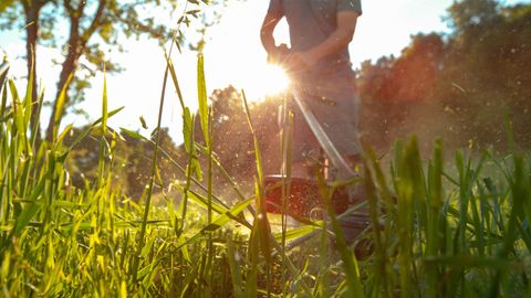 Personne tondant de l'herbe haute avec un arrière-plan ensoleillé.