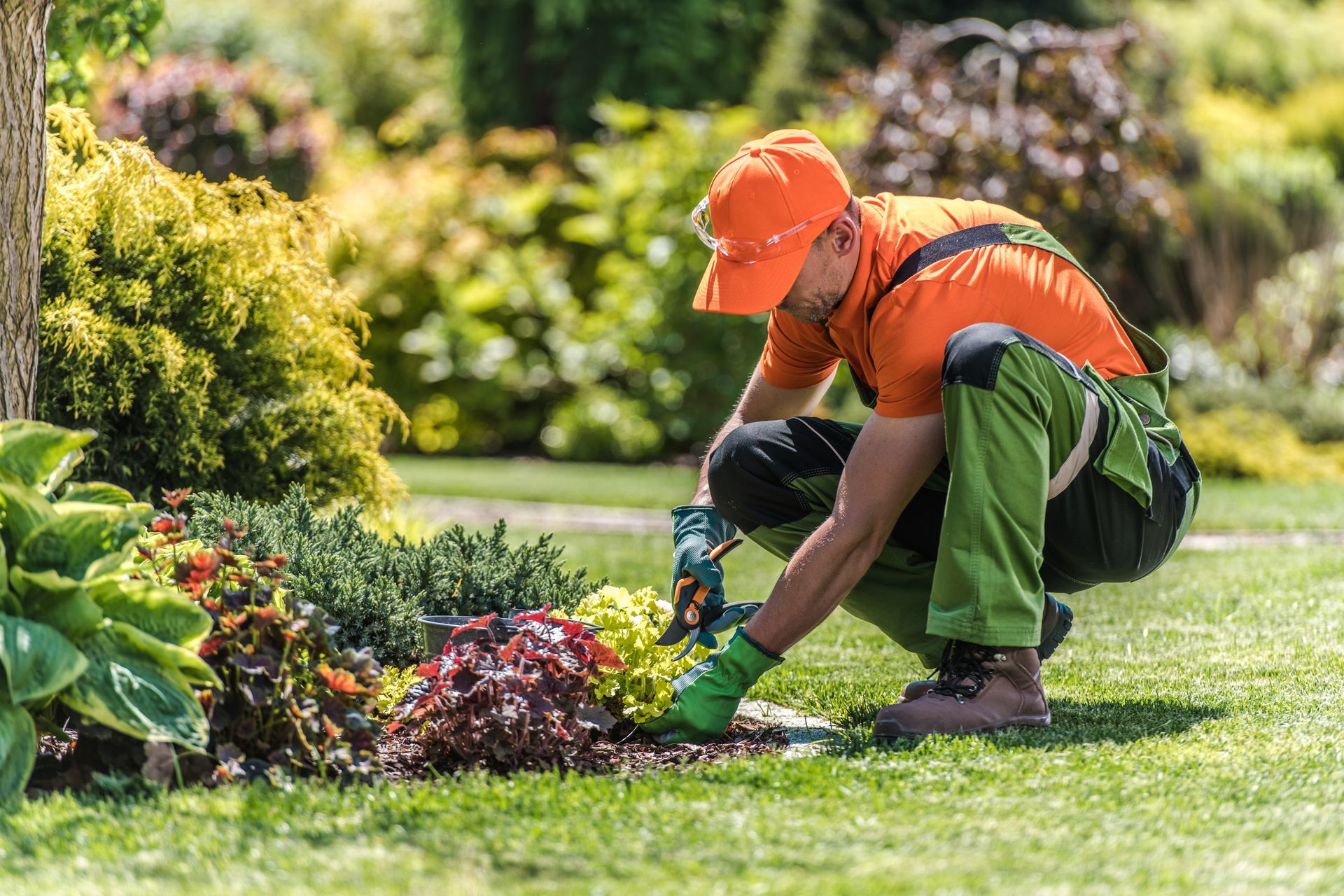 Jardinier s'occupant d'un parterre de fleurs ; portant une chemise orange, un chapeau et un pantalon vert ; à l'extérieur dans un jardin ensoleillé.