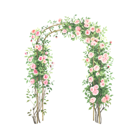 Arche couverte de roses, roses roses et feuilles vertes en cascade sur des supports en bois brun.