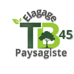 Logo de TB Élagage : texte vert et gris et icône d'arbre.