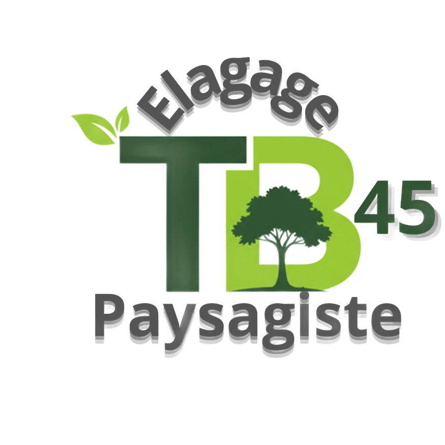 Logo de TB Élagage : texte vert et gris et icône d'arbre.