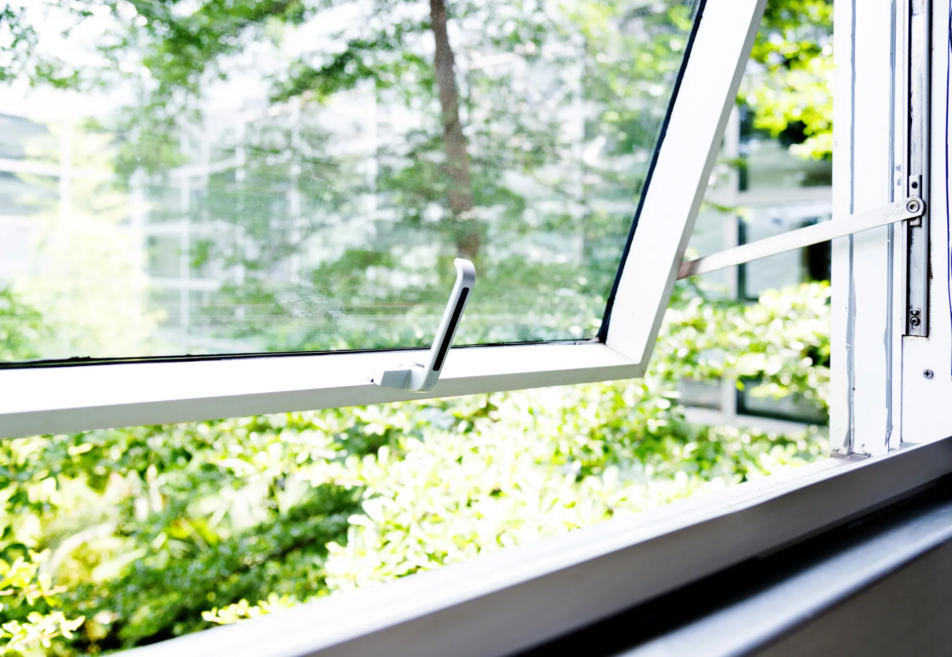 Ventana abierta sobre un exuberante jardín verde con abundante luz natural.
