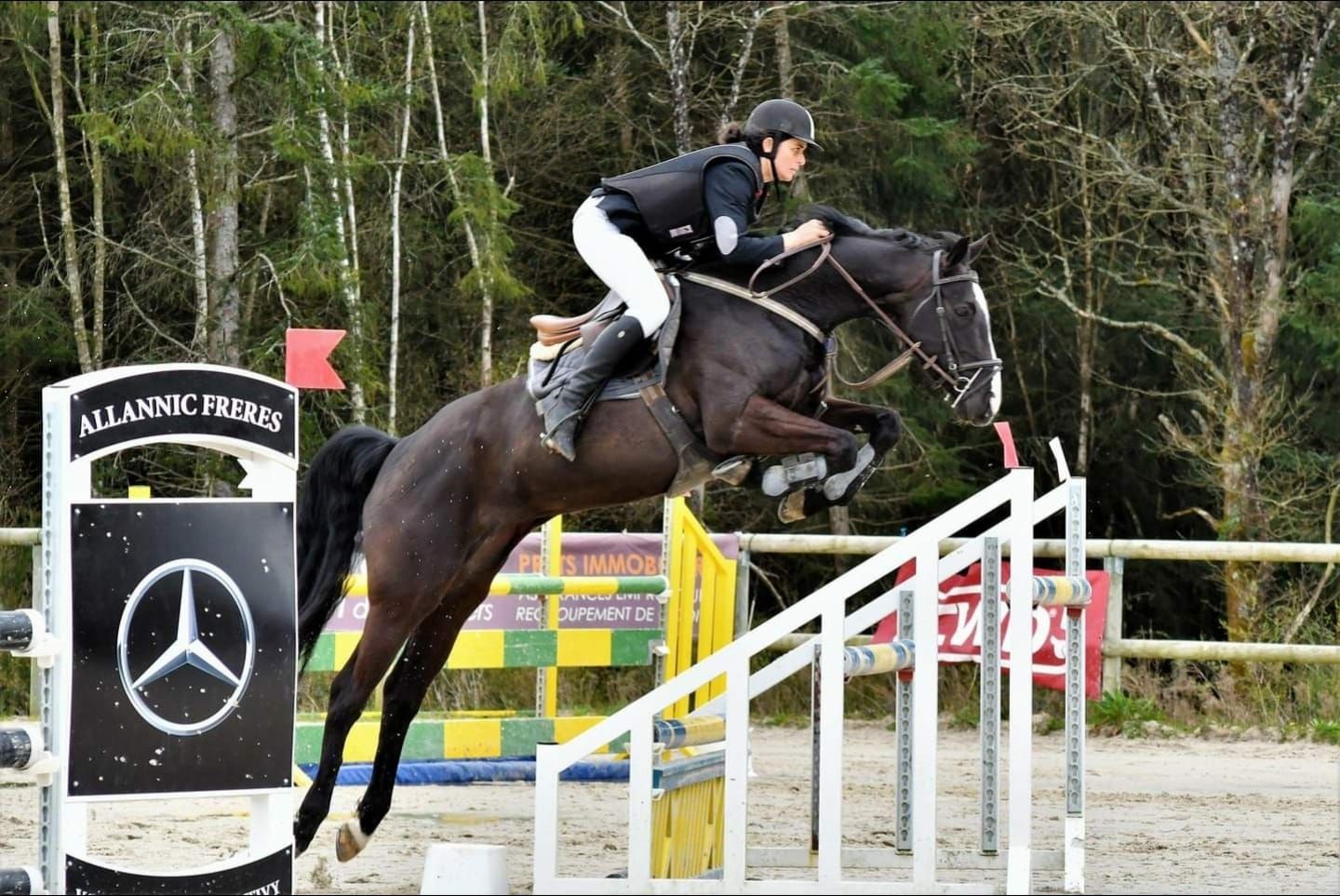 Comment les roueries sont-elles utilisées dans le commerce des chevaux