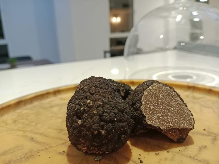 Dos trufas en un plato con una cúpula de cristal al fondo.
