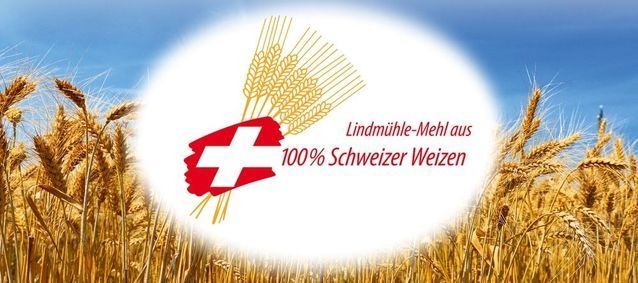 Partner - Rüebliland AG - Wohlen AG