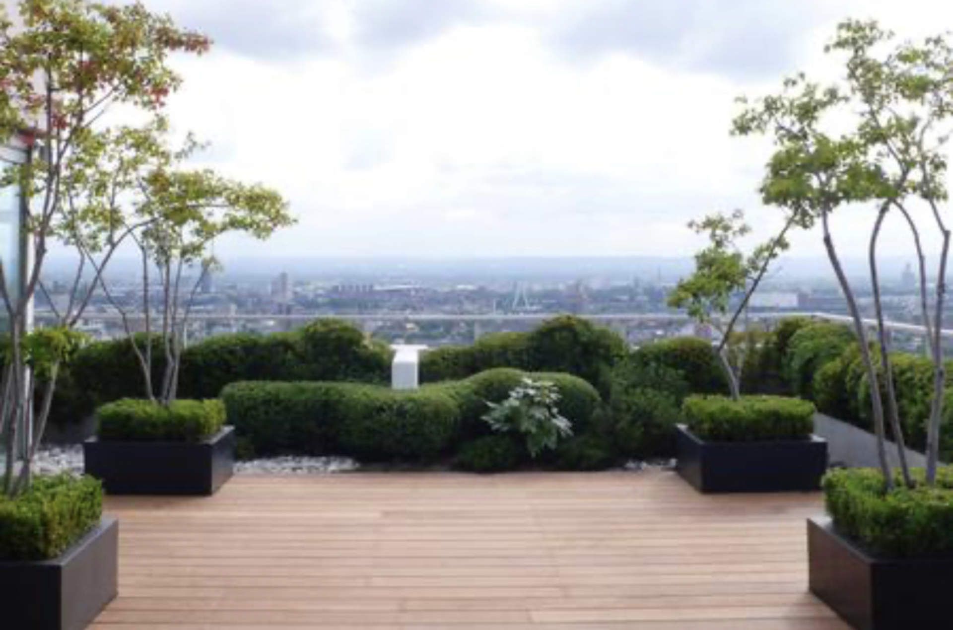 Ein Dachgarten mit Bäumen und Sträuchern und Blick auf die Stadt