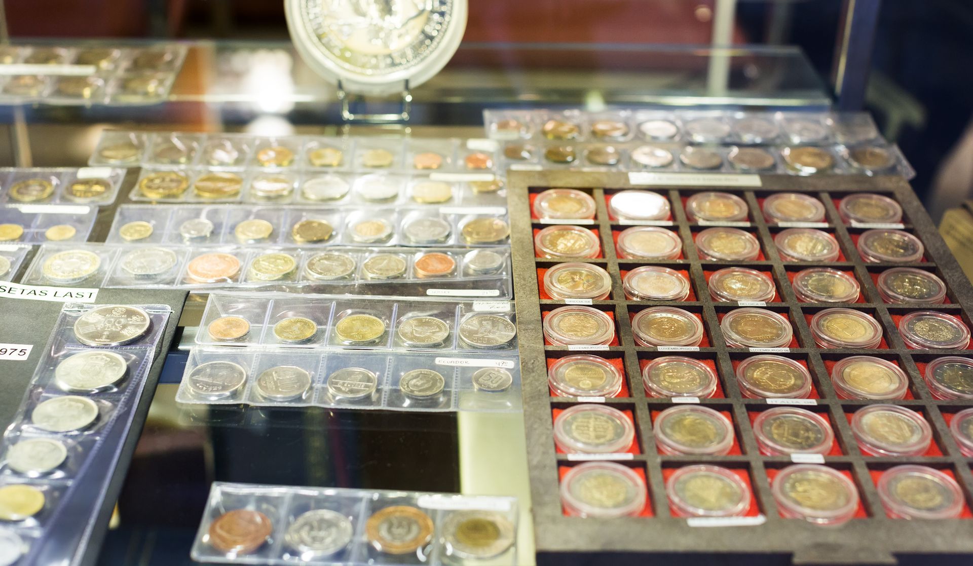 Vitrine contenant de nombreuses pièces de monnaie dans des supports en plastique.