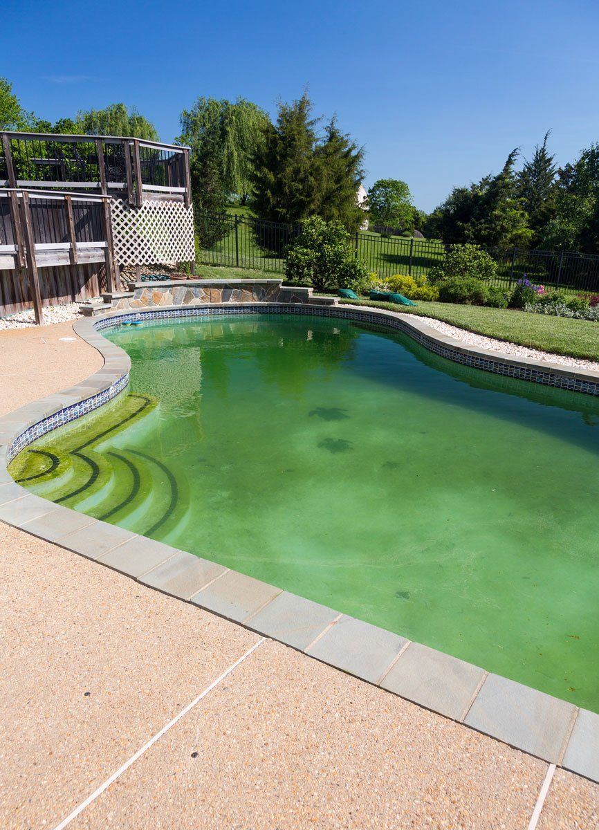 Création spa