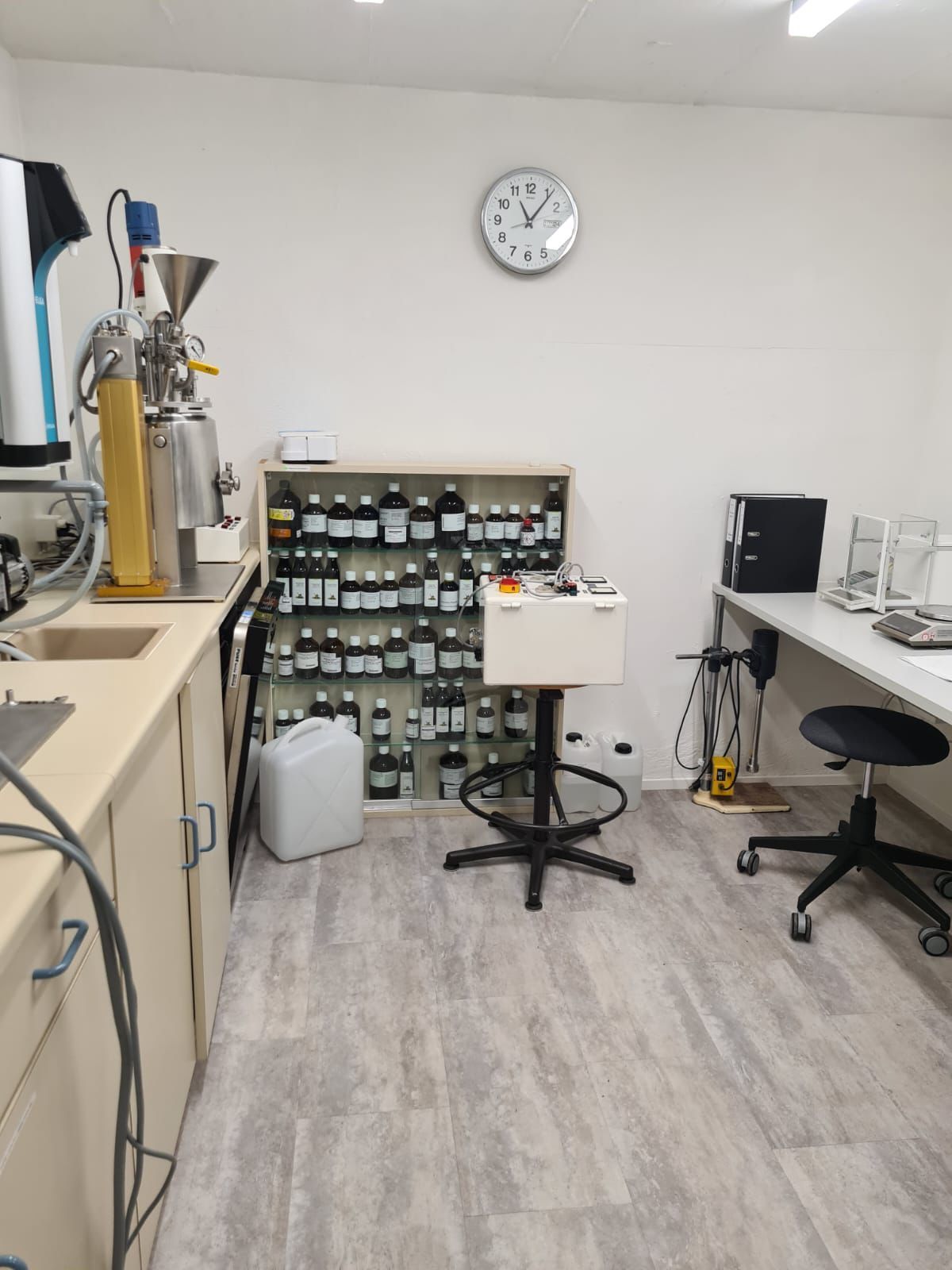 Grosszügiges Wohnzimmer mit Holzboden, grossen Fenstern, Esstisch, Teppichen und Sofa.