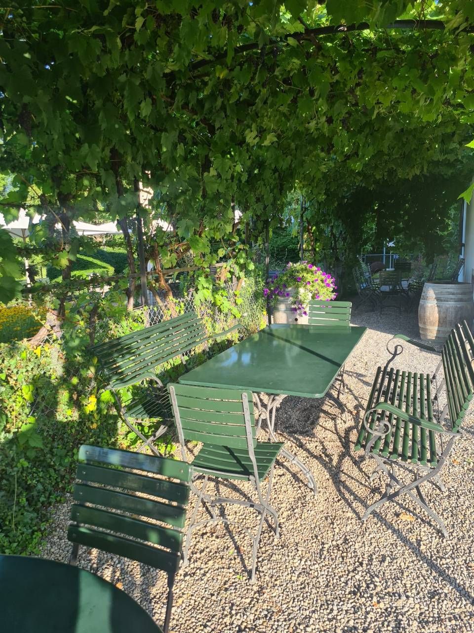Grüner Metalltisch und Stühle unter einem Blätterdach, Essbereich im Freien auf Kiesfläche.
