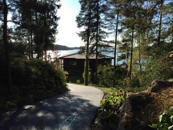asfalttiturku