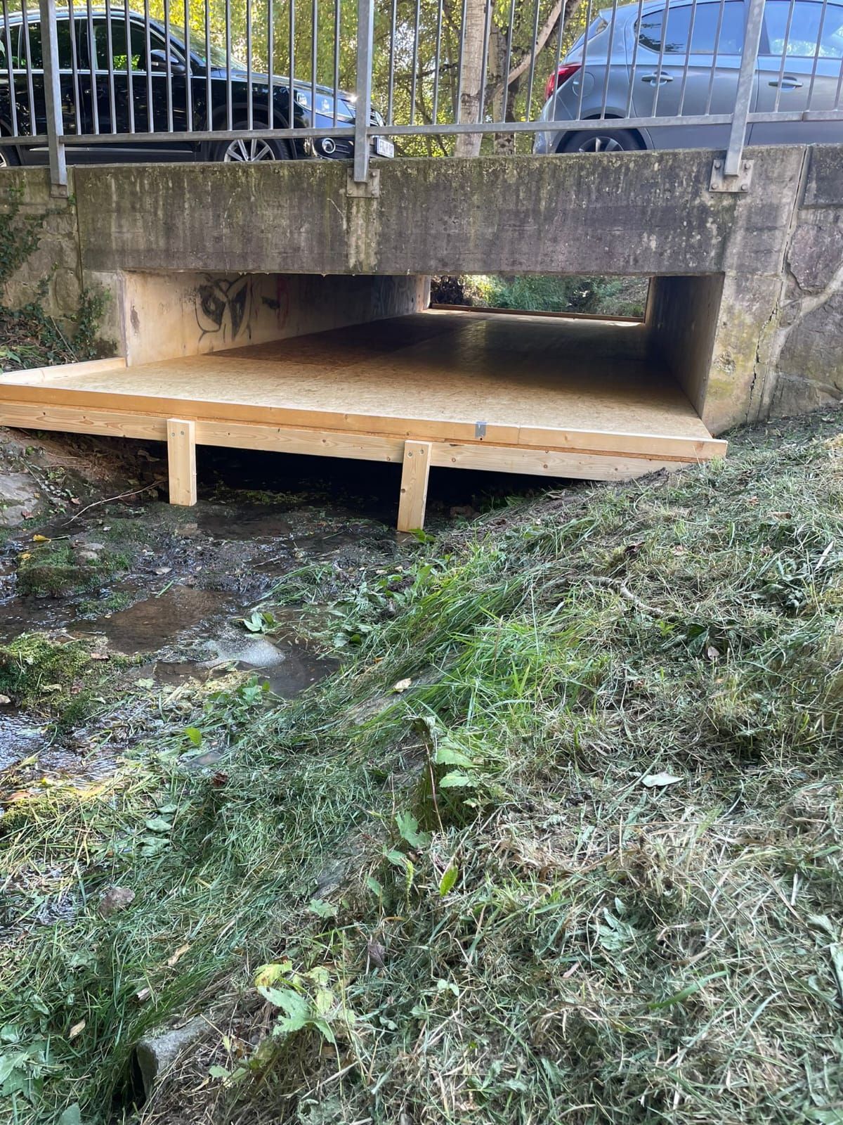 Eine Brücke über einen Bach mit einer Holzplattform darunter.