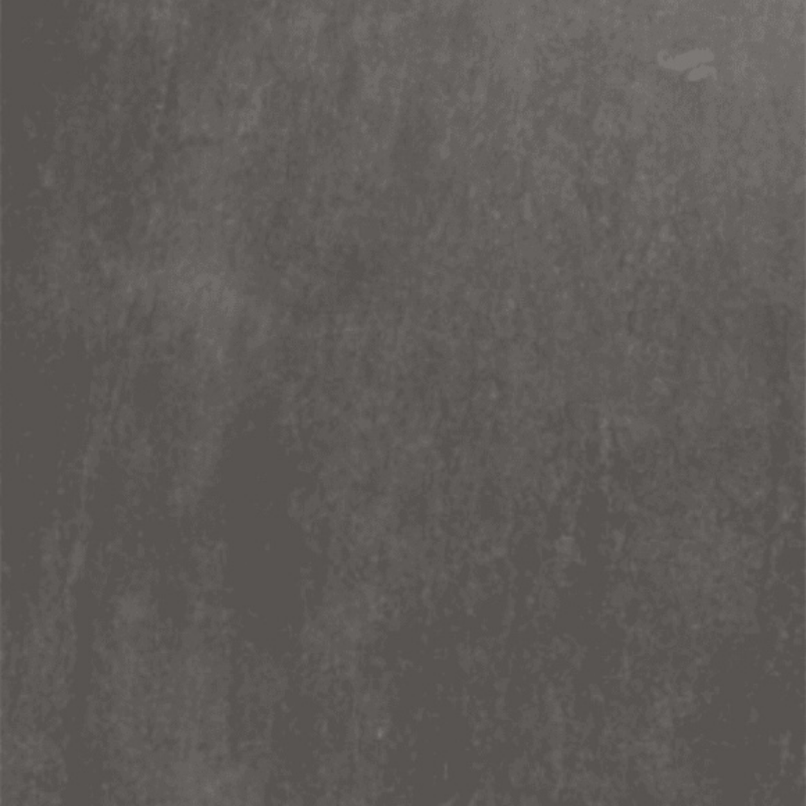 Leonardo Antrasit Rectifié.