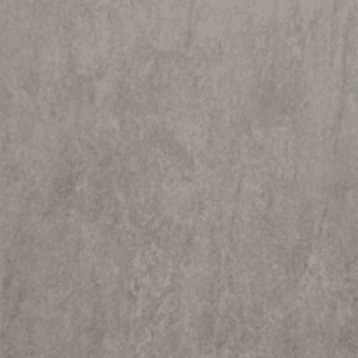 Leonardo Gris Rectifié.