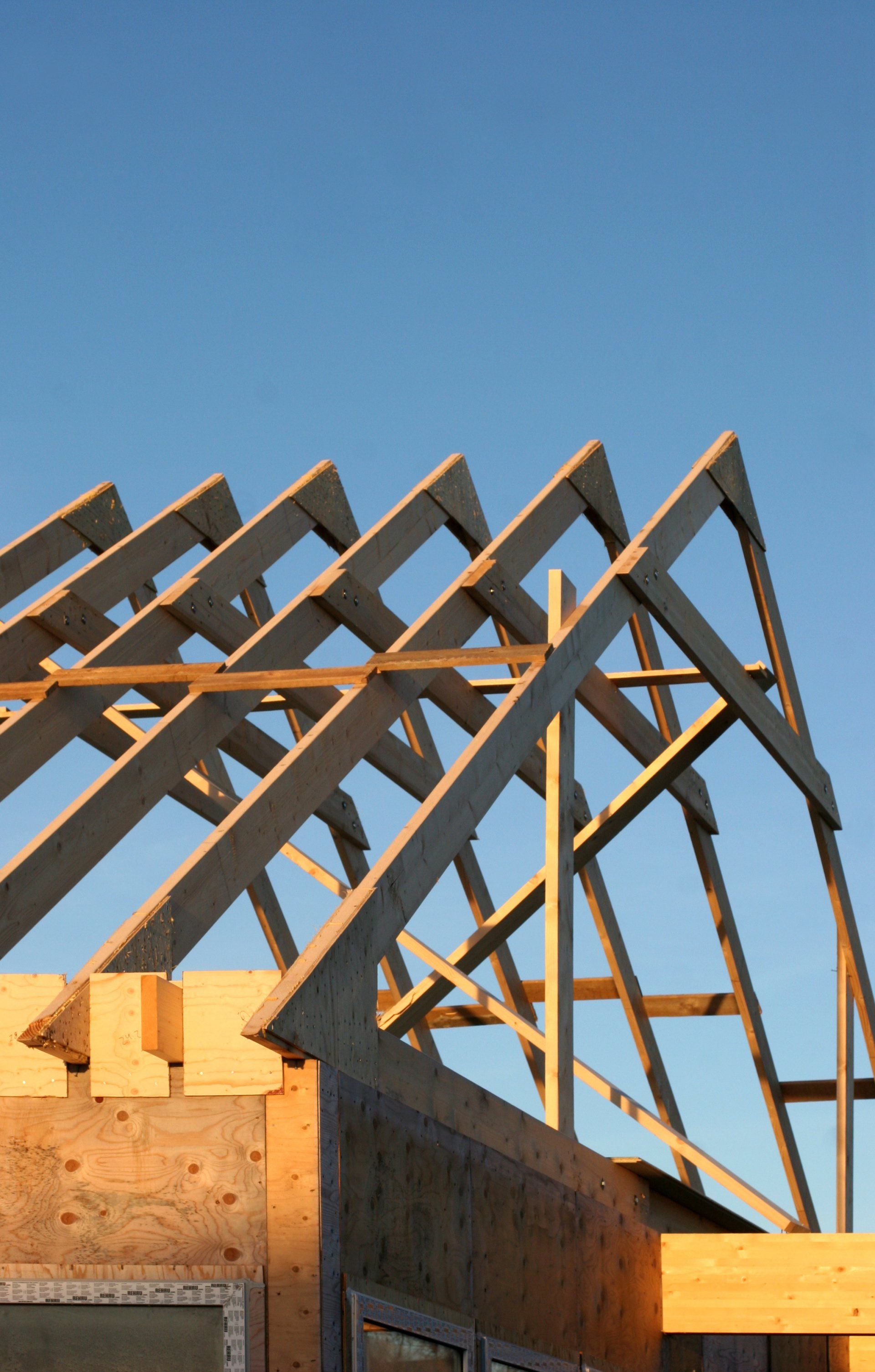Charpente et ossature bois sur ciel bleu